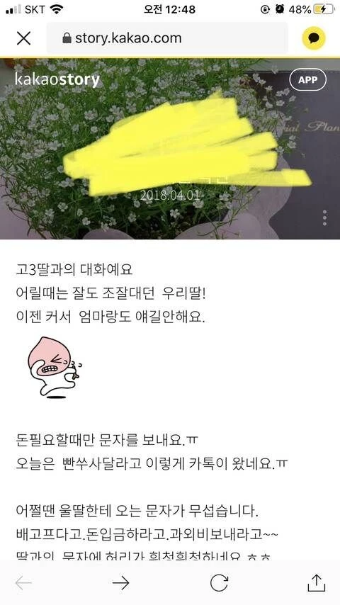 엄마가 카카오 스토리에 이상한거 올림