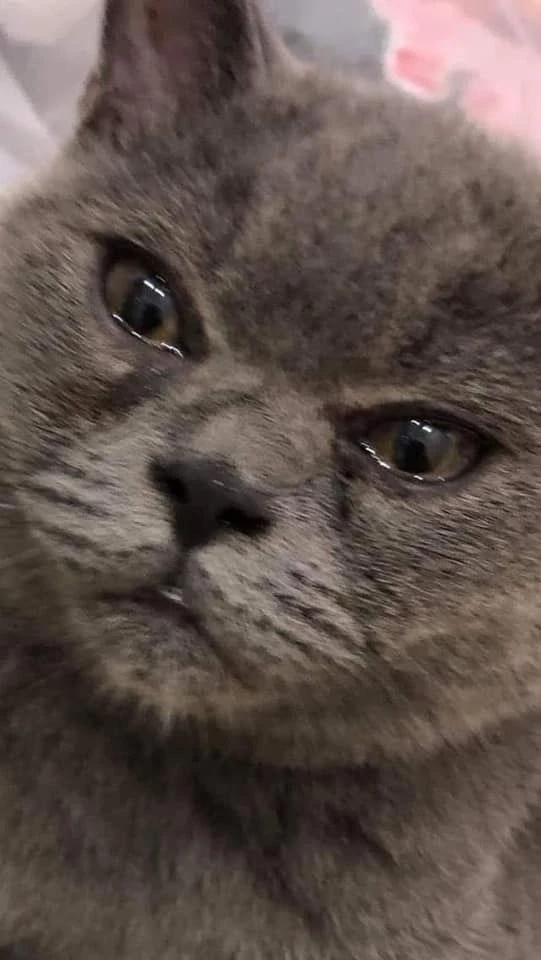 17075264010838.jpeg