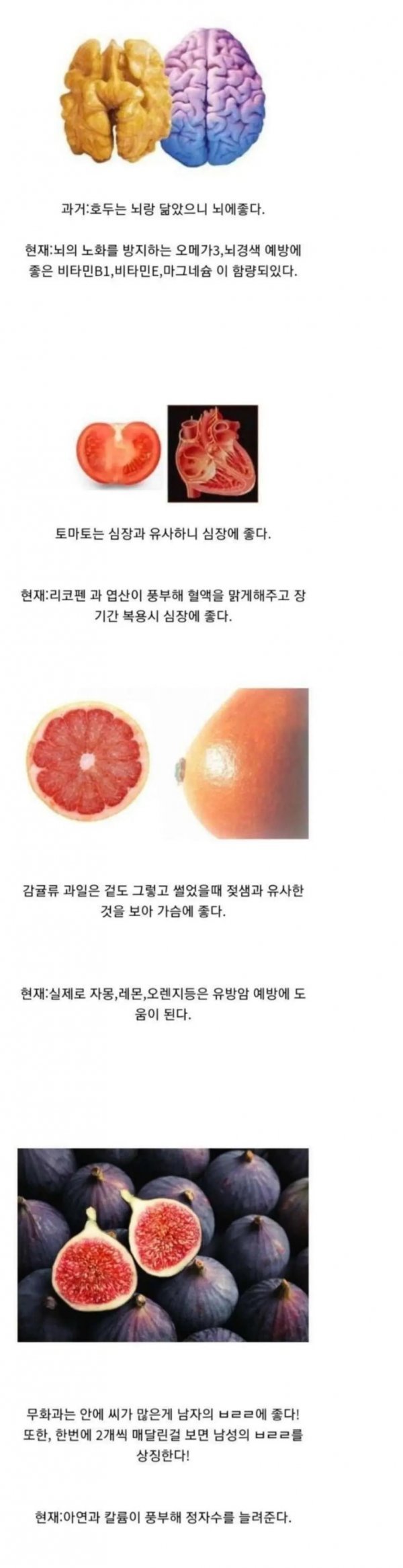신체부위를 닮아 몸에 더 좋은 음식
