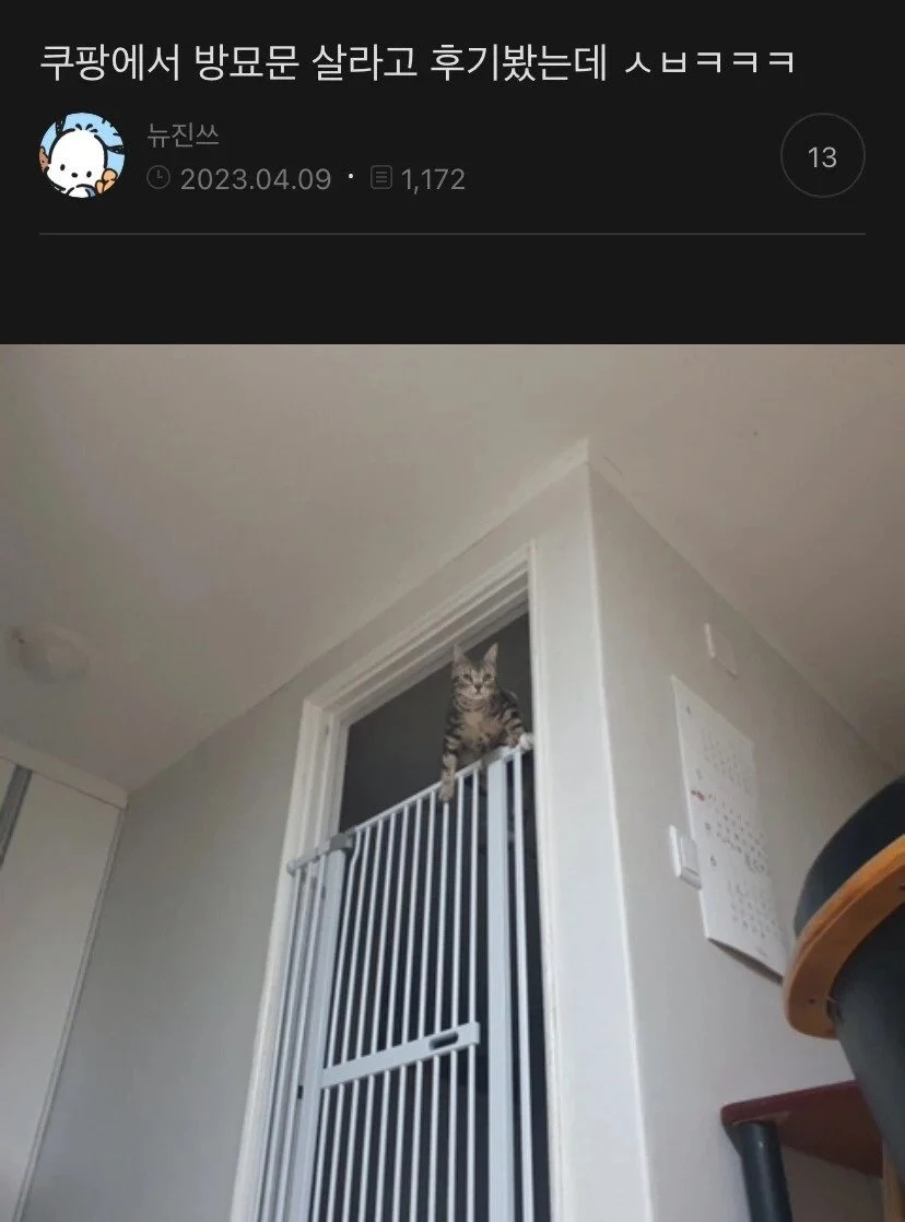 고양이 안전문 구매 후기.jpg