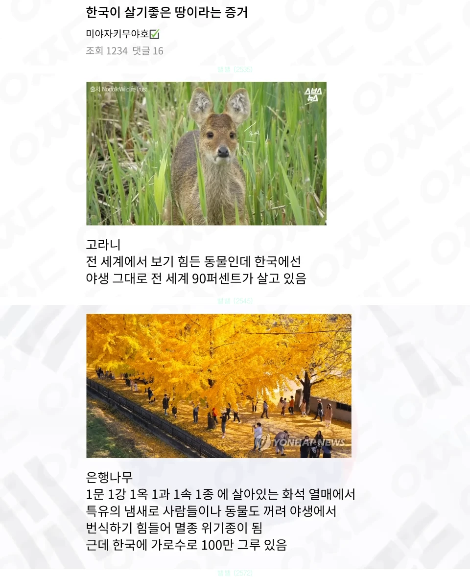 우리나라가 살기 좋은 땅인 증거