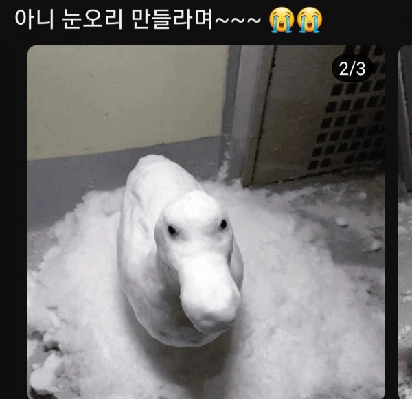 17077315761748.jpeg
